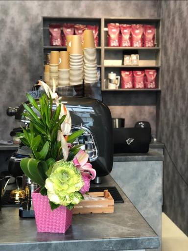 عکس کافه پلن سی