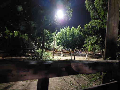 عکس بوستان ملاخلیلا