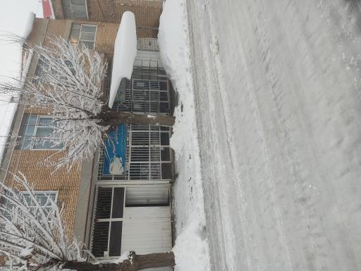 عکس تولیدی پولک و نبات امیر