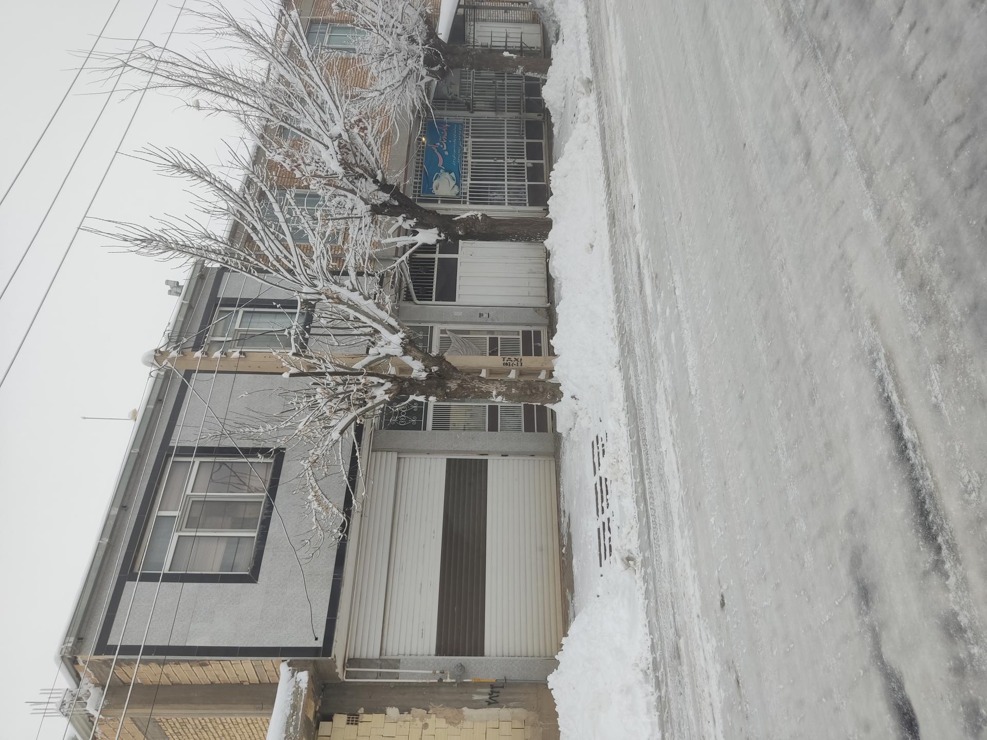 عکس تولیدی پولک و نبات امیر