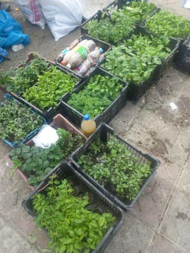 عکس دوشنبه بازار رحیم آباد