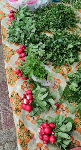 عکس دوشنبه بازار رحیم آباد