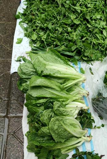 عکس دوشنبه بازار رحیم آباد