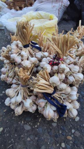 عکس دوشنبه بازار رحیم آباد