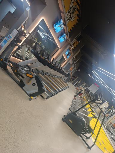 عکس باشگاه رویای برتر