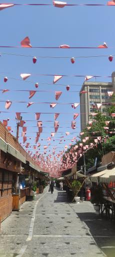 عکس گذر گردشگری باب همایون