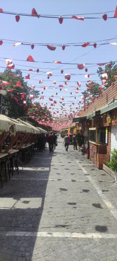 عکس گذر گردشگری باب همایون