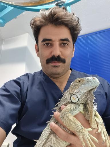 عکس دامپزشکی دنا