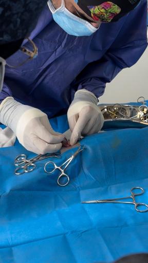 عکس دامپزشکی دنا