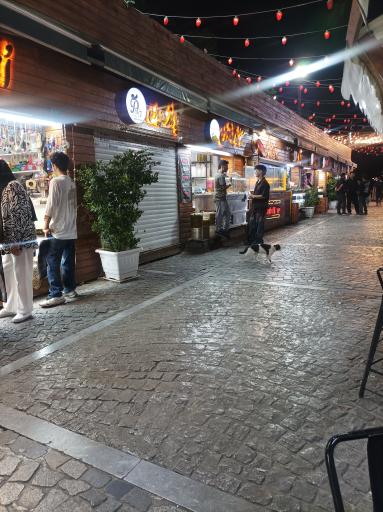 عکس گذر گردشگری باب همایون