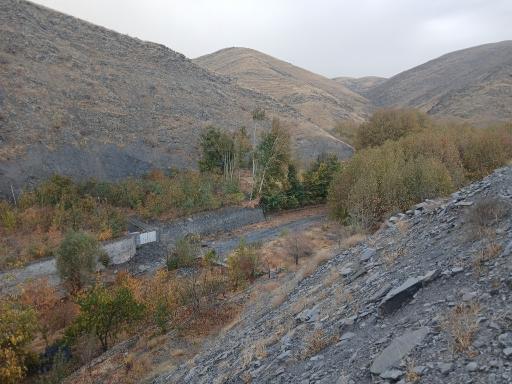 عکس جنگل جیغ مشهد