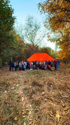 عکس جنگل جیغ مشهد