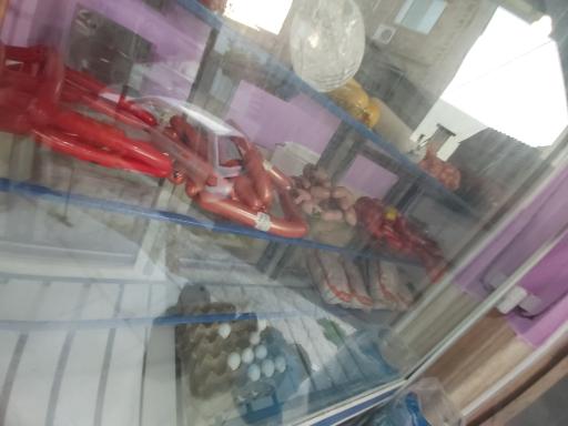 عکس پروویتا