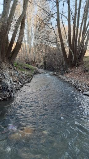 عکس جنگل جیغ مشهد