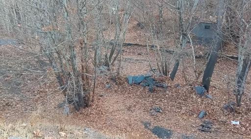 عکس جنگل جیغ مشهد