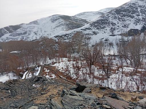 عکس جنگل جیغ مشهد