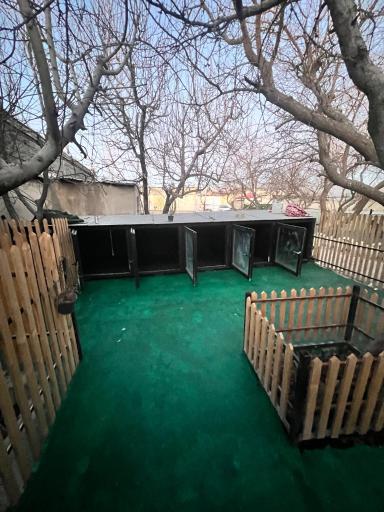عکس پانسیون سگ و گربه هتل کانیس