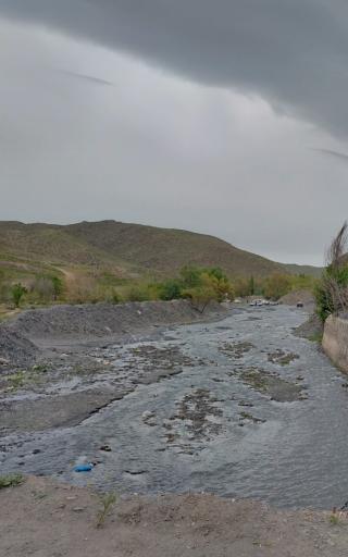 عکس جنگل جیغ مشهد
