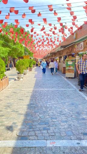 عکس گذر گردشگری باب همایون