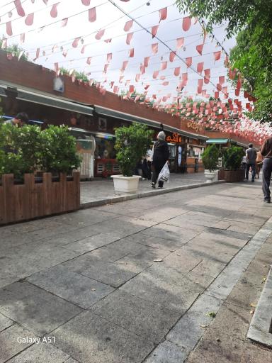 عکس گذر گردشگری باب همایون