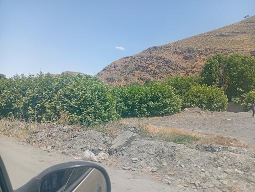 عکس جنگل جیغ مشهد