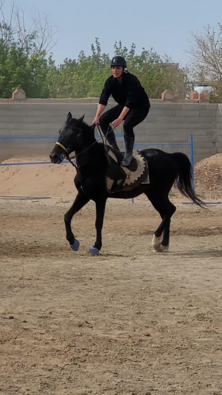 عکس باشگاه سوارکاری پرواز