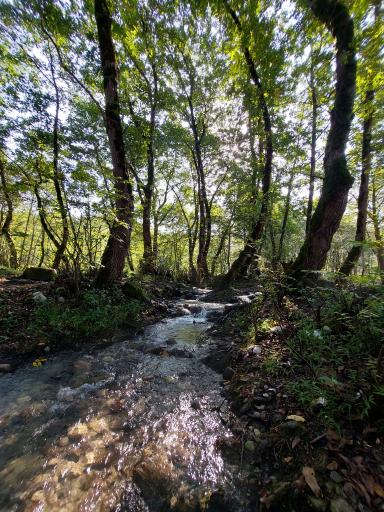 عکس بوستان تیلاکنار