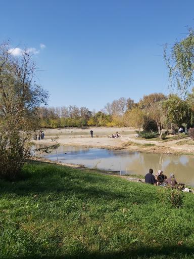 بوستان جنگلی ناژوان