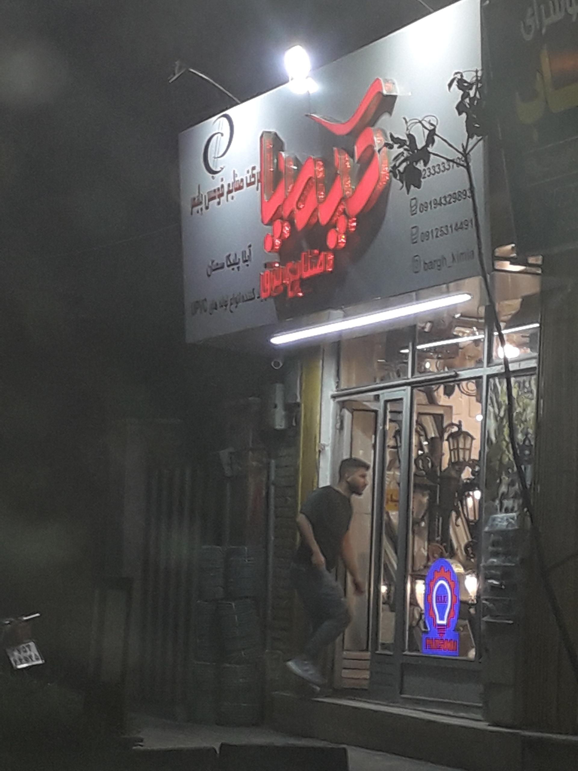 عکس صنایع برق کیمیا