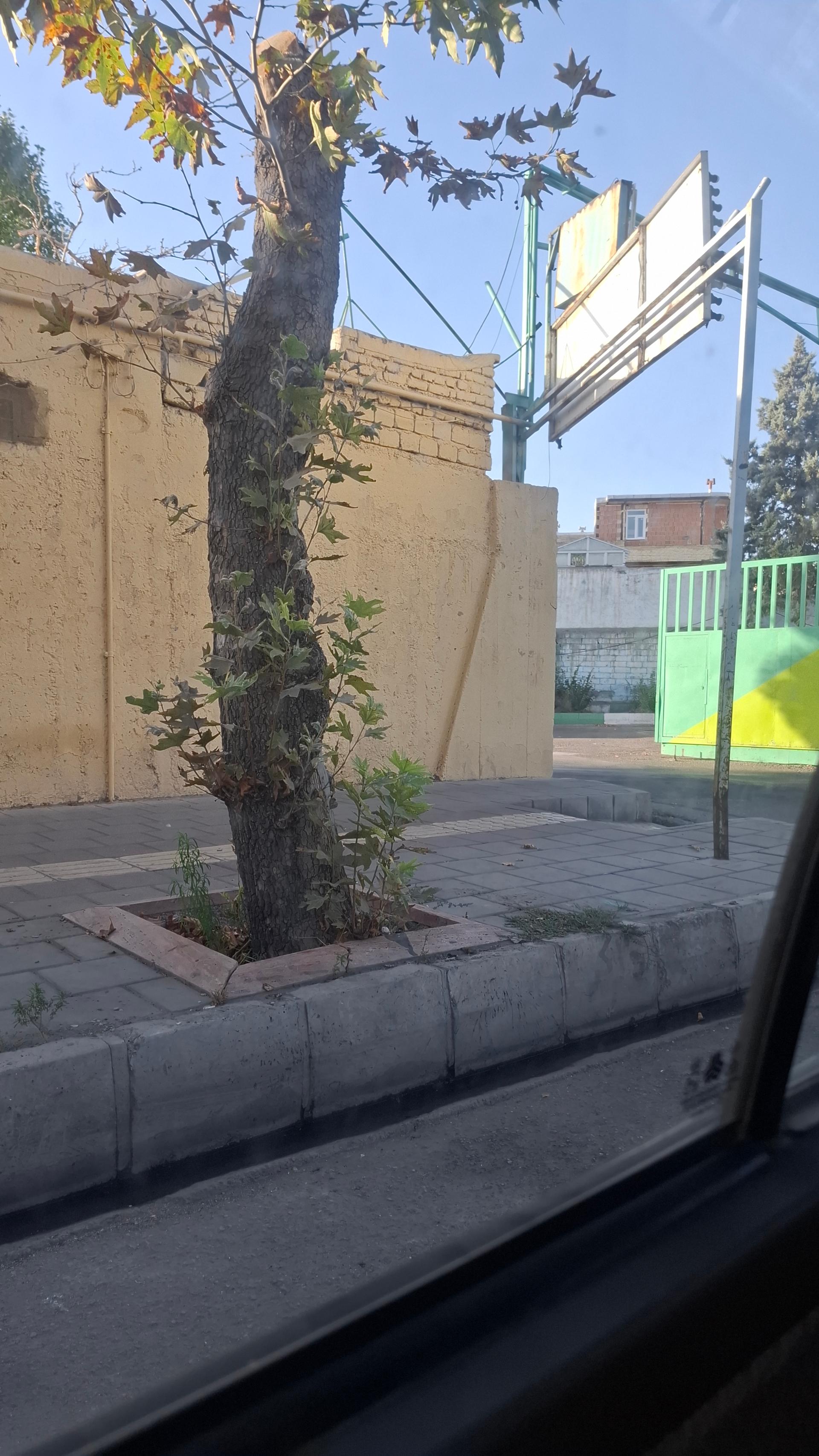 عکس سازمان اتوبوسرانی