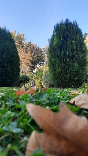 عکس بوستان جنگلی ناژوان