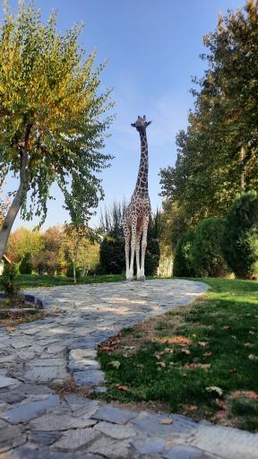 عکس بوستان جنگلی ناژوان