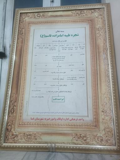 عکس آستان شاهزاده قاسم و ابراهیم