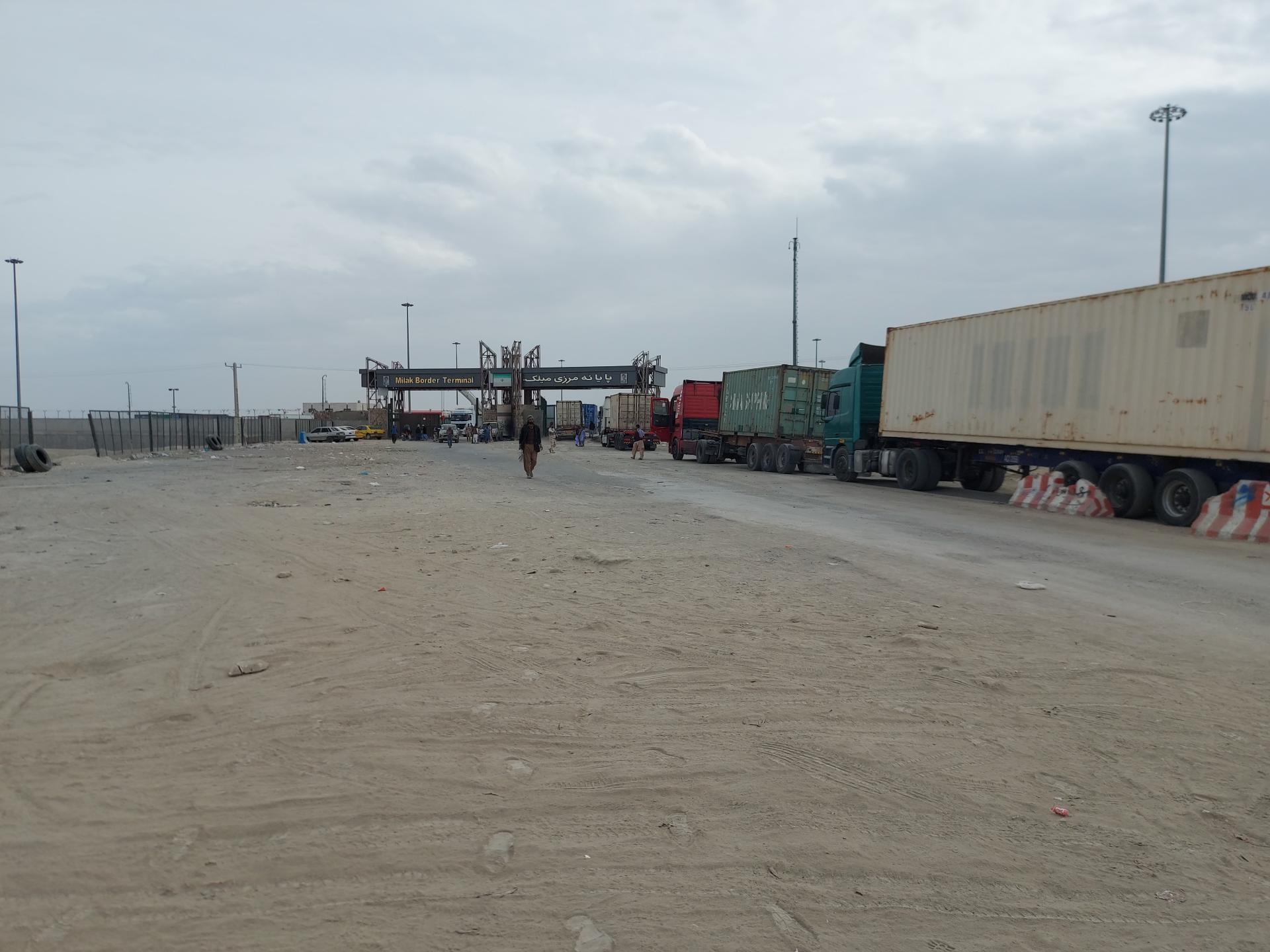 عکس پایاته صادراتی عام محور طلایی