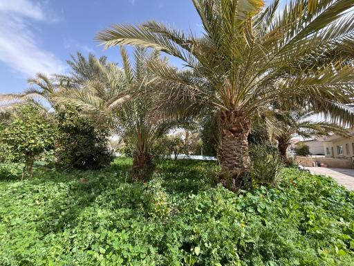 عکس اداره راهداری و حمل و نقل جاده ای
