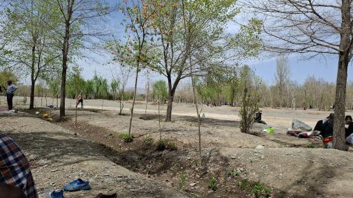 عکس بوستان جنگلی ناژوان