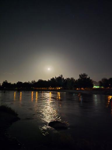 عکس بوستان جنگلی ناژوان