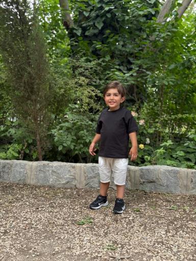 بوستان جنگلی ناژوان