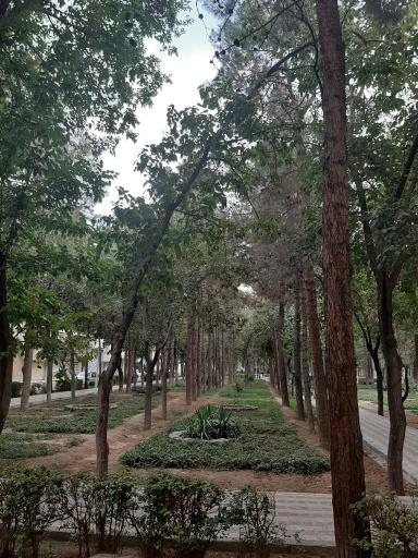 عکس بوستان جنگلی ناژوان