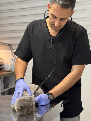 کلینیک دامپزشکی آریانا