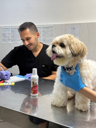 کلینیک دامپزشکی آریانا