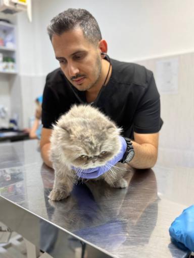 عکس کلینیک دامپزشکی آریانا