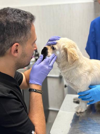 عکس کلینیک دامپزشکی آریانا