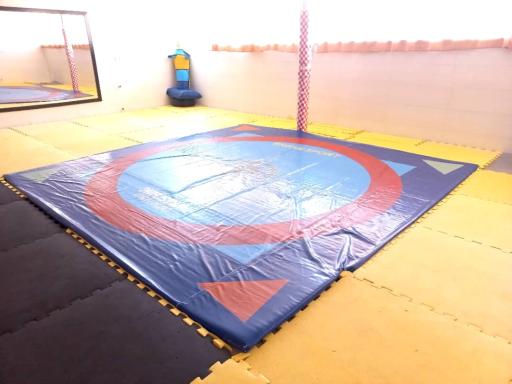 عکس باشگاه رزمی ققنوس 