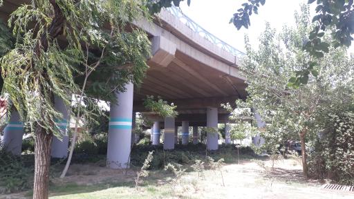 عکس میدان نهم دی