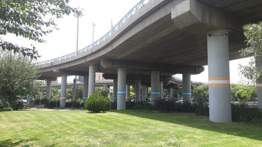 عکس میدان نهم دی