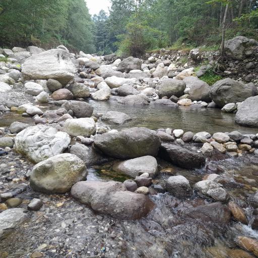 عکس بوستان تیلاکنار