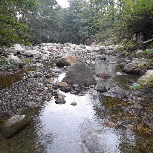 عکس بوستان تیلاکنار