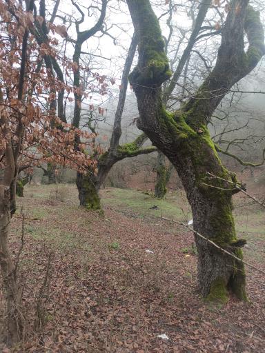 عکس آبشار آزاد مهر