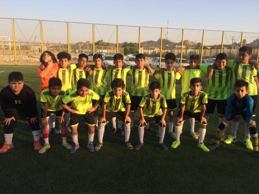 عکس چمن مصنوعی هاشمی